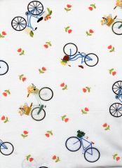 BICICLETAS CON CESTA