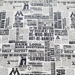 HARRY POTTER PERIODICO