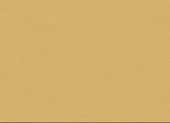CANVAS VAINILLA 280cm