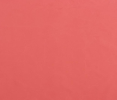 IMPERMEABLE CORAL