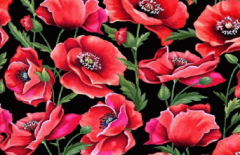 AMAPOLAS DE MICHAEL MILLER