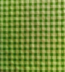 SEERSUCKER VERDE CUADRO GRANDE