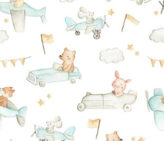 ANIMALES EN COCHE Y EN AVION