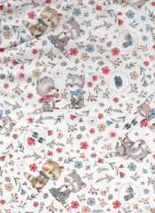 MAPACHES