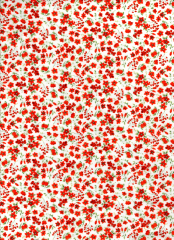 PEQUEÑA FLOR ROJA