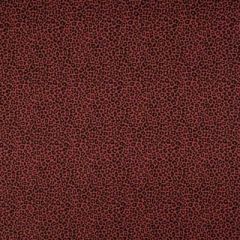LEOPARDO MARRON