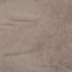 CORALINA TAUPE