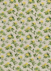 LONETA LIMONES