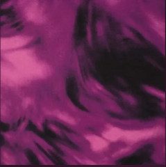 VISCOSA MORADA AGUAS NEGRAS