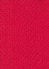 PLUMETI ROJO SANGRE