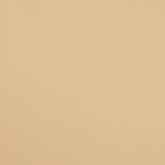 TROZO PUNTO ALGODON CHAMPAGNE 50cm