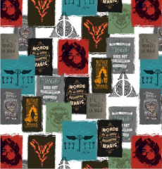 HARRY POTTER CARTELES