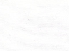 TROZO LONETA LISA BLANCA 50cm