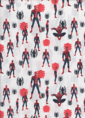 SPIDERMAN 2