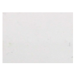 PUNTO ALGODON BLANCO