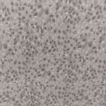 VIELLA FONDO GRIS CON MANCHAS