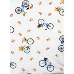 BICICLETAS CON CESTA