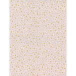 ESTRELLA DORADA FONDO BLANCO