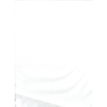 TONO SOBRE TONO FLOR BLANCA