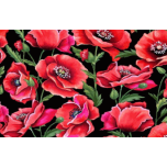 AMAPOLAS DE MICHAEL MILLER