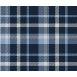 CUADROS AZULES