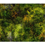 NATURALEZA MUSGO