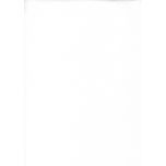 VAQUERO ELASTICO BLANCO