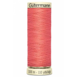 COSELOTODO 100 METROS 896 SALMON