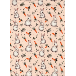 CONEJITOS CON ZANAHORIAS