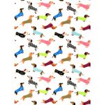 PERROS SALCHICHA CON CAMISETA