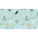 HARRY POTTER FONDO MINT