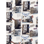 HARRY POTTER FOTOGRAFIAS