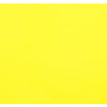 IMPERMEABLE AMARILLO FLUOR