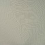 PUNTO RIB VERDE CAQUI