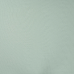 PUNTO RIB VERDE VIEJO