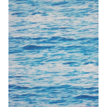 NATURALEZA AGUA MAR