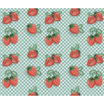 FRESAS FUCSICOS E FRICOTES