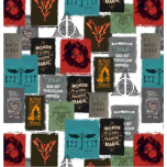 HARRY POTTER CARTELES