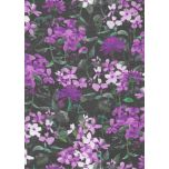 VOILE FLORES LILAS FONDO NEGRO