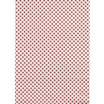 PATCH CRUDO ESTRELLA GRANATE