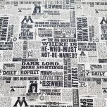 HARRY POTTER PERIODICO