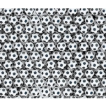 BALONES DE FUTBOL