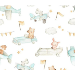 ANIMALES EN COCHE Y EN AVION