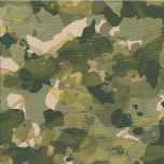 ESTAMPADO CAMALEON