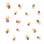 ABEJAS VOLANDO