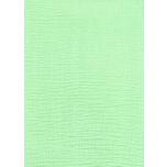 MUSELINA VERDE