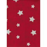 TROZO LONETA ESTRELLA ARENA 50cm