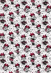 MINNIE POSES