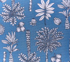 COCOTEROS AZUL