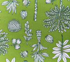 COCOTEROS VERDE